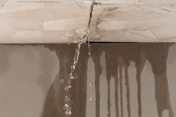 Professional Structural Drying technician working in Leander, TX